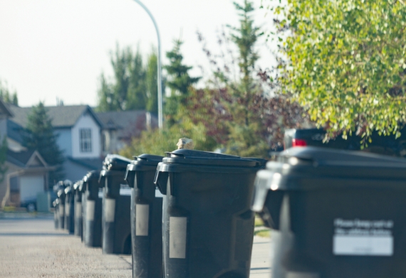 Household Waste in Bins on a Driveway