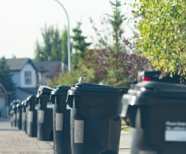 Household Waste in Bins on a Driveway