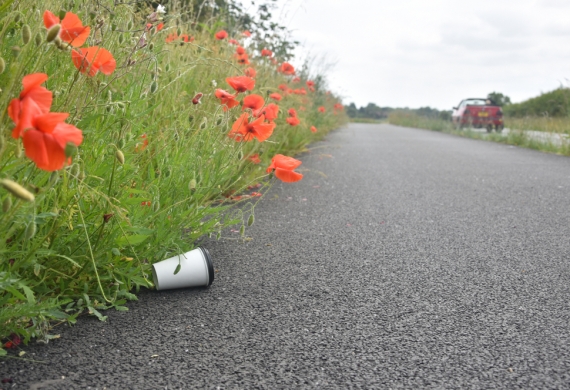 Litter On Road