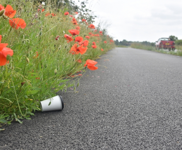 Litter On Road