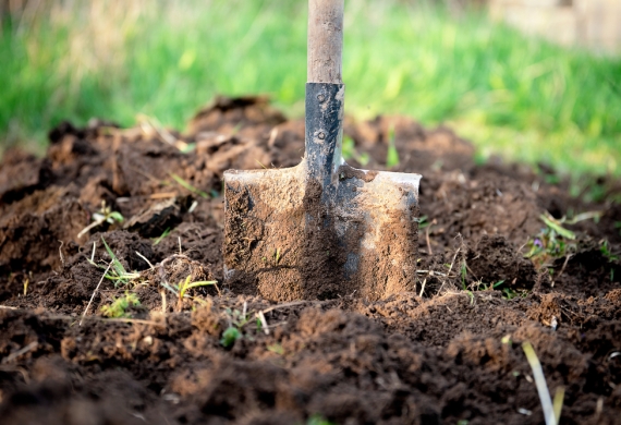 Shovel in soil