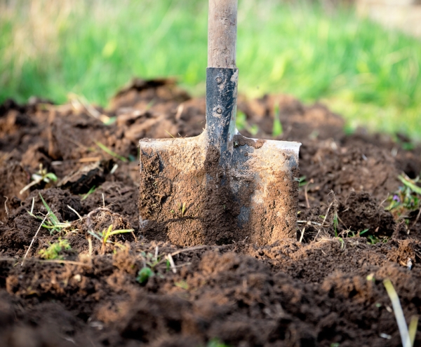 Shovel in soil